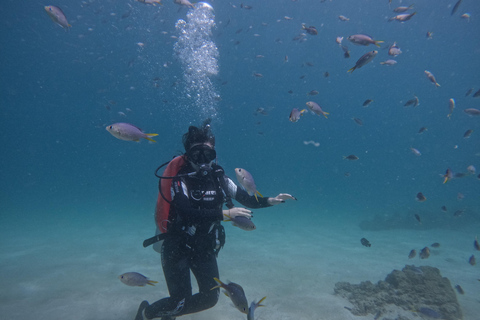 Vanuit Dubai: Probeer duiken, snorkelen met BBQ & Transfer