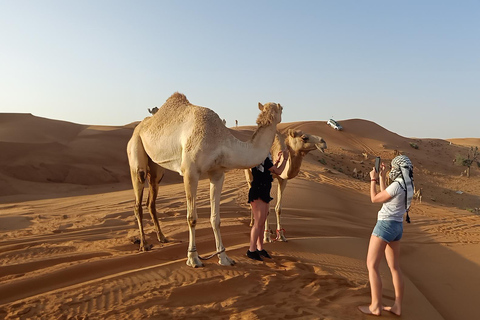 Dubai: avondsafari door de rode duinen met dinerbuffet