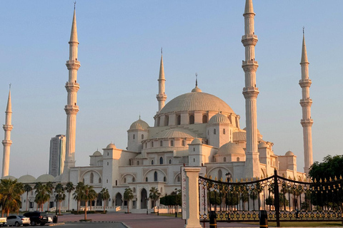 Vanuit Dubai: Stadsrondleiding in Fujairah