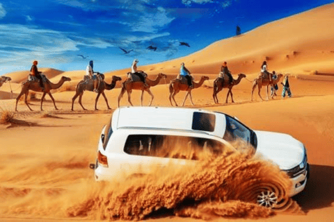 Dubai: VIP-woestijnsafari met kameelrijden, quadrijden, show en barbecue-di...