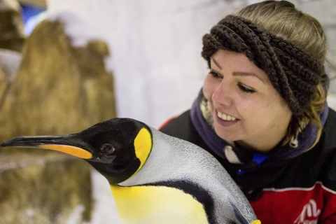 Dubai: tickets pinguïns ontmoeten in Ski Dubai