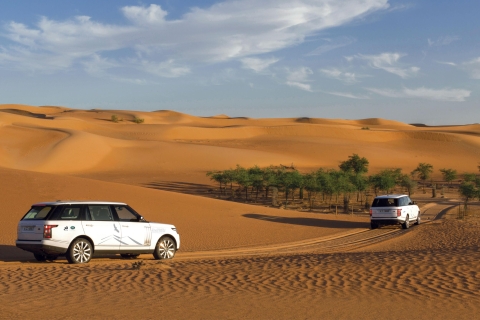 Dubai: Desert Conservation Reserve met ontbijt
