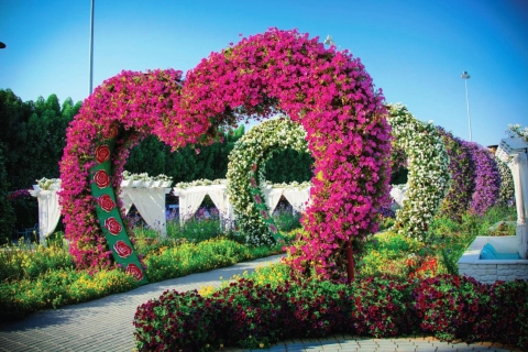 Dubai: 4-uur durende excursie flora en fauna