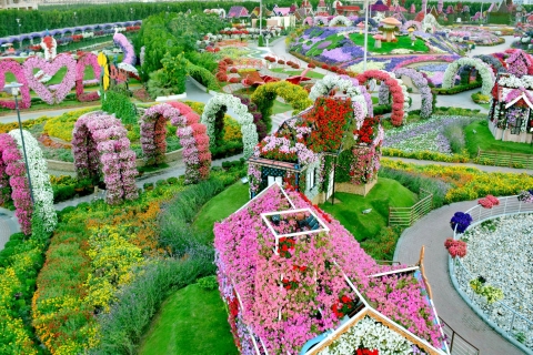 Miracle Garden Dubai tickets Miracle Garden Dubai tickets