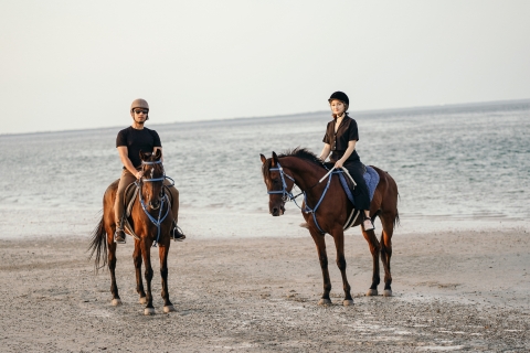 Vanuit Dubai: paardrijtocht bij zonsondergang op Mangrove Beach