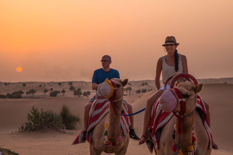 Dubai: Avond trektocht per kameel & diner in Al Marmoom Oasis