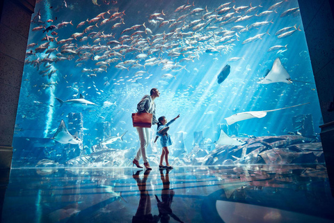 Dubai: Entreebewijs voor Lost Chambers Aquarium