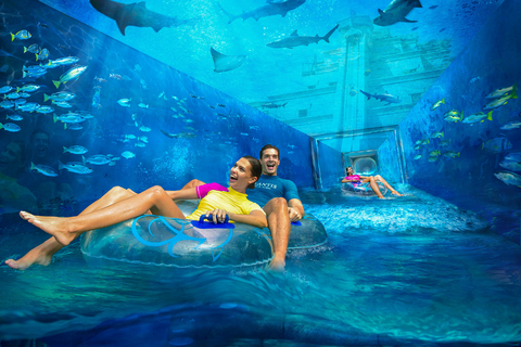 Watersport in Dubai tickets Watersport in Dubai tickets