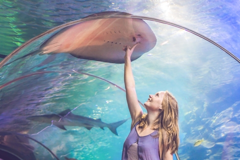 Aquaventure tickets Dubai Aquaventure tickets Dubai