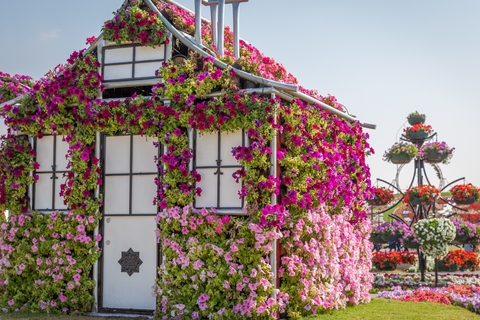 Miracle Garden Dubai tickets Miracle Garden Dubai tickets
