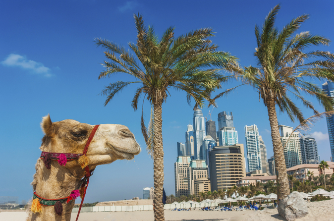 Dubai Super Saver: Sightseeingtour Dubai Stad en woestijnsafari Dubai Super Saver: Sightseeingtour Dubai Stad en woestijnsafari