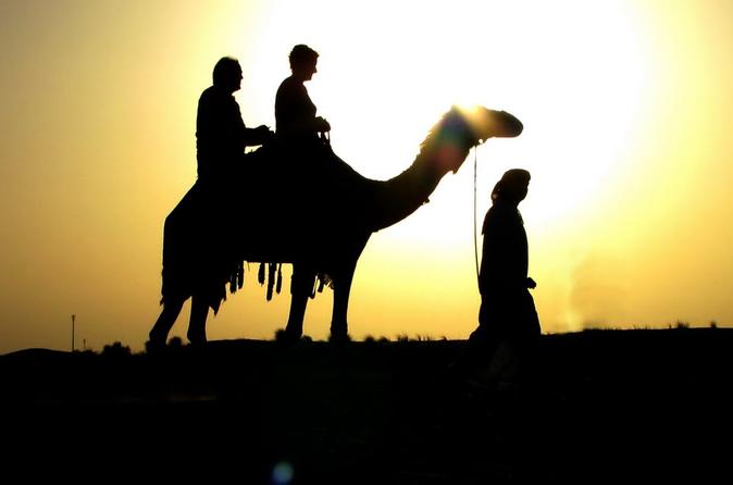 Heritage and Adventure safari with Camel Trek From Dubai Heritage and Adventure safari with Camel Trek From Dubai