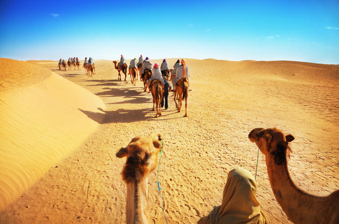 Woestijnavontuur: kameelsafari met diner + Emirati-activiteiten Woestijnavontuur: kameelsafari met diner + Emirati-activiteiten